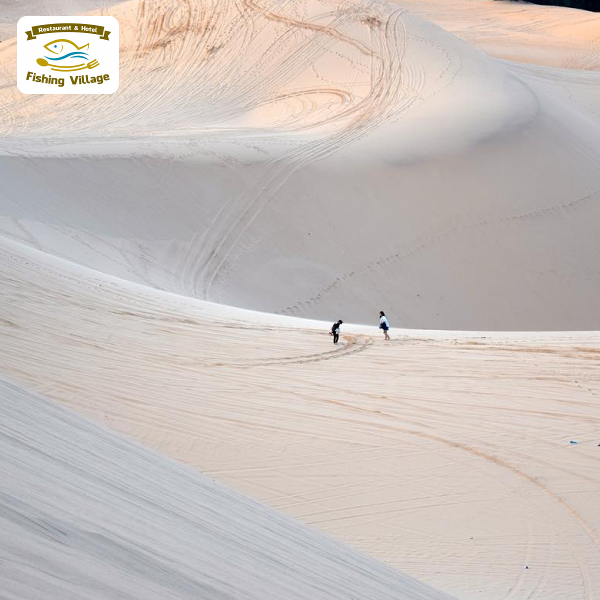 6+ Địa điểm check in tại Mũi N&eacute; view sống ảo thả ga