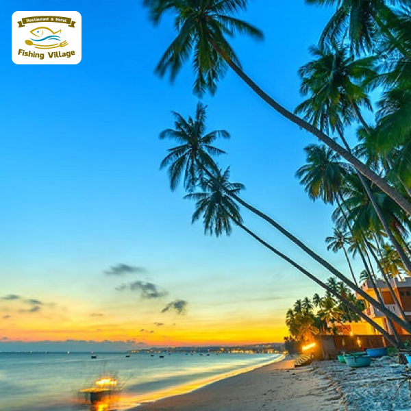 3 Ng&agrave;y 2 Đ&ecirc;m kh&aacute;m ph&aacute; Mũi N&eacute;: N&ecirc;n ở đ&acirc;u? Ăn g&igrave;, chơi g&igrave;?